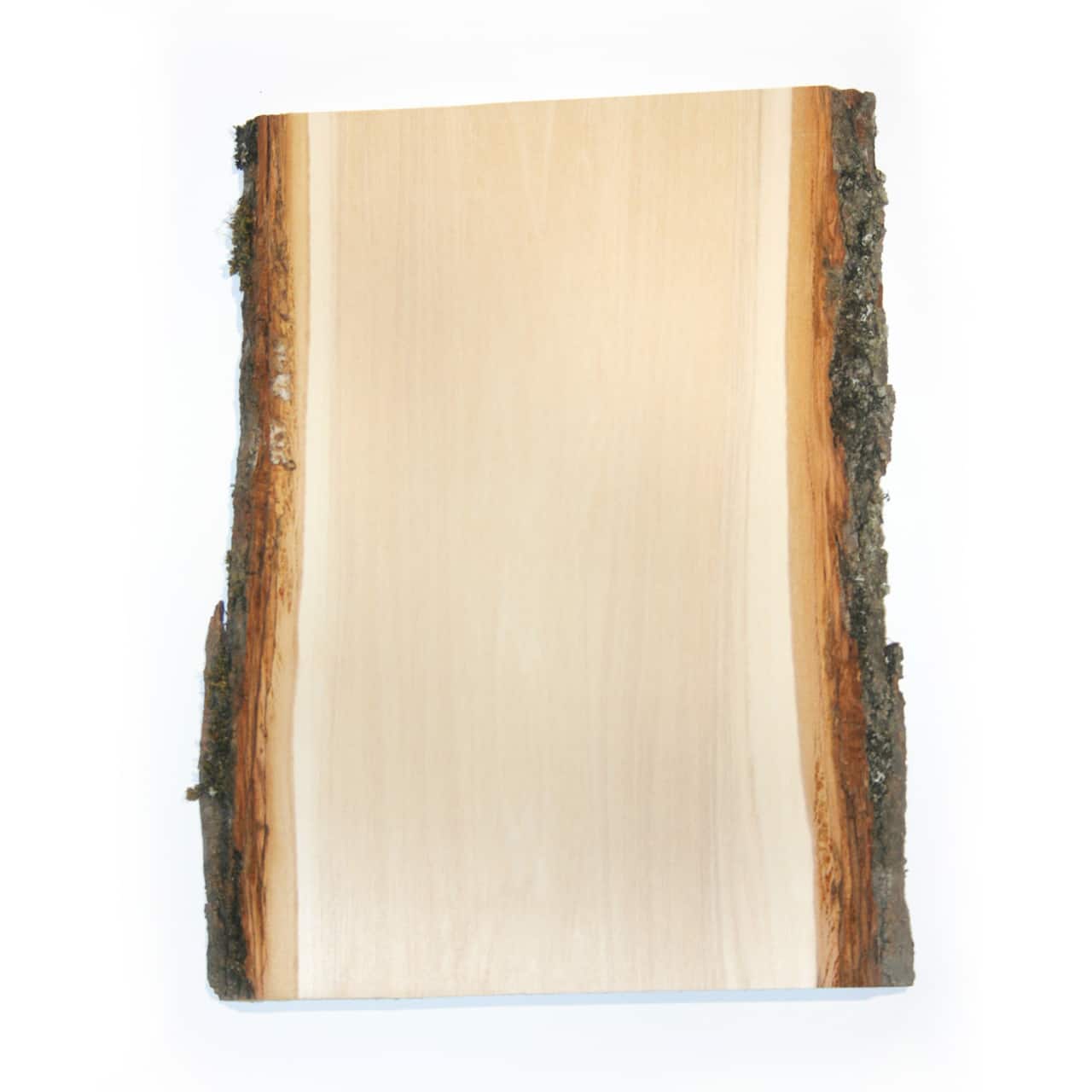 Wilson® Enterprises 13" x 10" Basswood Planks, 4ct.